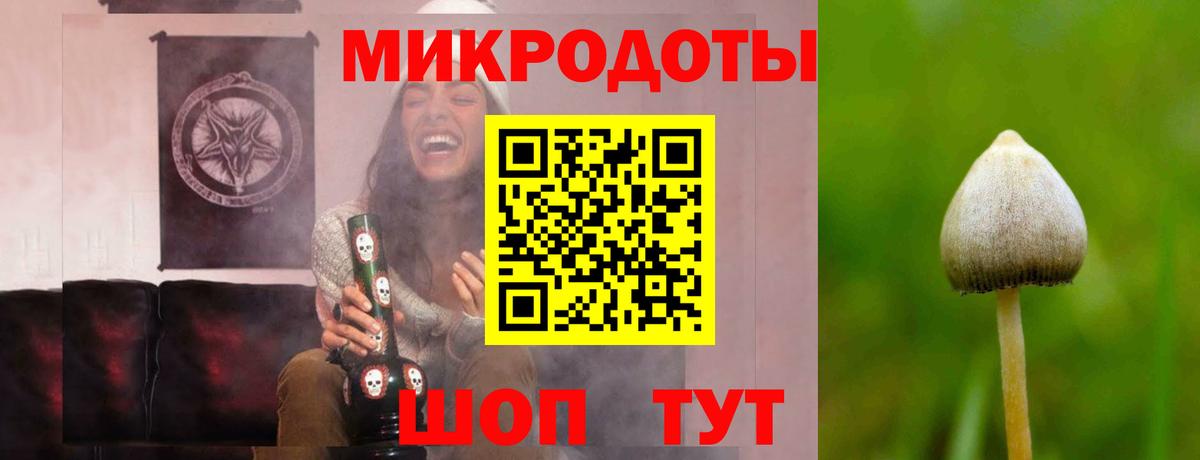 Галлюциногенные грибы прущие грибы  Вход с VPN  Озёрск 